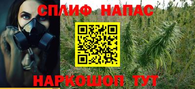 jwh Дубна